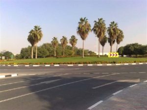 Project R830: Various Improvement in Dubai